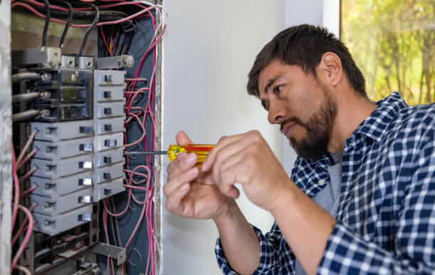 Best Commercial Electrician Services  in St Bonifacius, MN